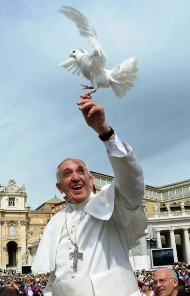pope-francis-and-dove